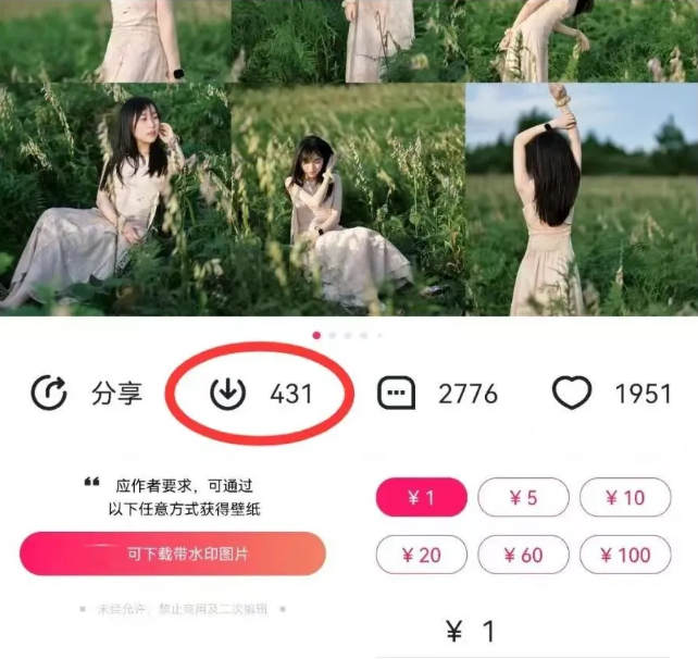 最新图虫搬运项目,收益无上限,利用AI小白也可日赚500+-Z网创