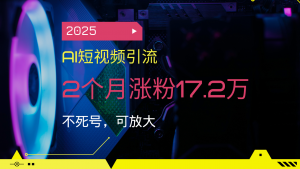 2025AI短视频引流，2个月涨粉17.2万，不死号，可放大-Z网创