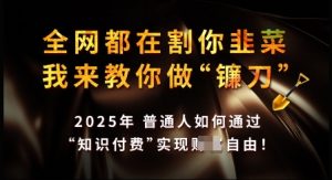 知识付费如何做到月入过W+，2025我来教你做“镰刀”【揭秘】-Z网创