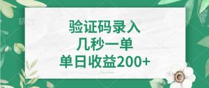 验证码录入，几秒一单，单日收益200+-Z网创