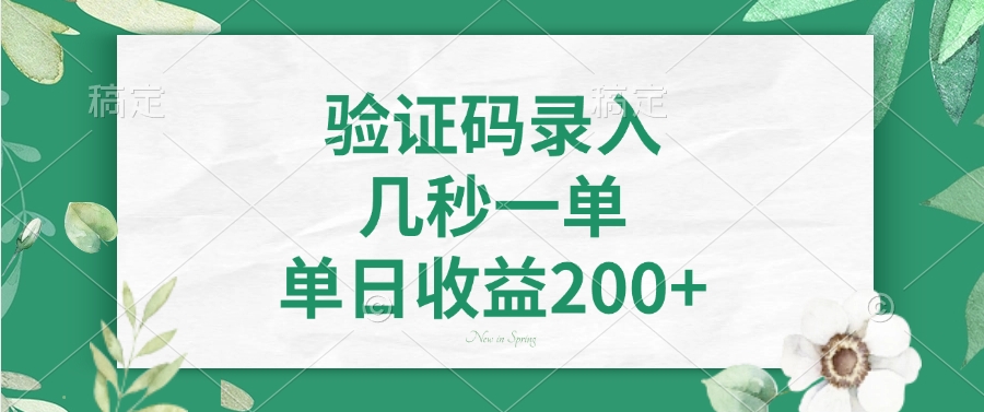 验证码录入，几秒一单，单日收益200+-Z网创