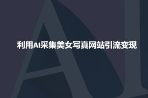 利用AI采集美女写真网站引流变现,引流嘎嘎的-Z网创