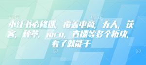 小红书必修课,覆盖电商,无人,获客,种草,mcn,直播等多个板块,看了就能干-Z网创