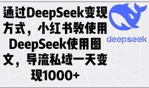 通过DeepSeek变现方式，小红书教使用DeepSeek图文，导流私域一天变现1000+-Z网创