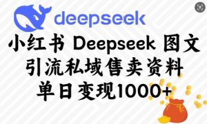 小红书Deepseek图文引流私域售卖资料,单日变现多张-Z网创