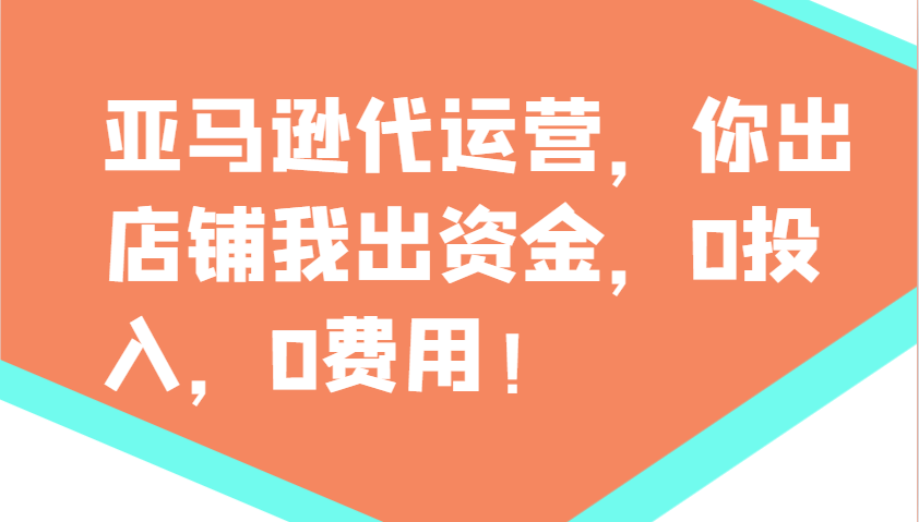 亚马逊代运营，你出店铺我出资金，0投入，0费用，无责任每天300分红，赢亏我承担-Z网创