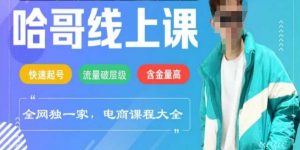 电商线上课程2025年，快速起号，流量破层级，这套方法起号率99%-Z网创