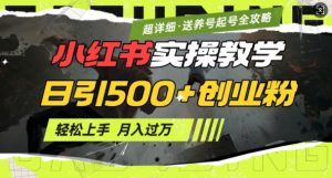 2月小红书最新日引500+创业粉实操教学【超详细】小白轻松上手，月入1W+，附小红书养号起号SOP-Z网创