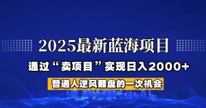2025年蓝海项目,如何通过“网创项目”日入2000+-Z网创