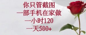 你只管截图，一部手机在家做，一小时120.一天5张【揭秘】-Z网创