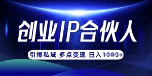 云帆·创业ip合伙人打造3.0，从0到1教你做网创，实现月入过W-Z网创