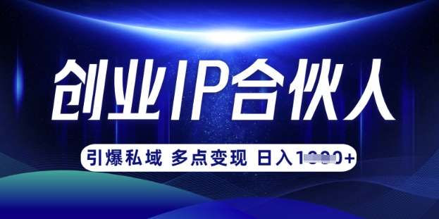 云帆·创业ip合伙人打造3.0,从0到1教你做网创,实现月入过W-Z网创
