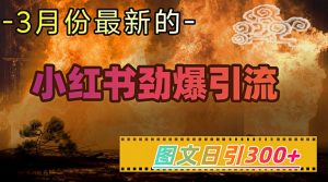 小红书超劲爆引流手段，图文日引300+轻松变现1W-Z网创