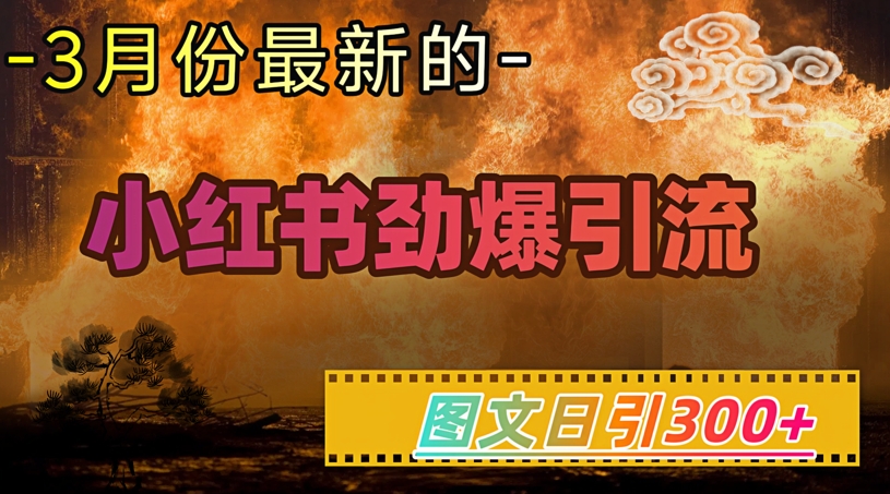 小红书超劲爆引流手段,图文日引300+轻松变现1W-Z网创