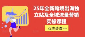 25年全新跨境出海独立站及全域流量营销实操课程,跨境电商独立站TIKTOK全域营销普货特货玩法大全-Z网创