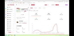 2025小红书虚拟电商实战课-Z网创