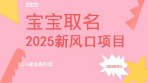 2025新风口项目宝宝取名，0成本高利润，附保姆级教程，月入过万不是梦-Z网创