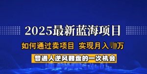 2025蓝海项目,普通人如何通过卖项目,实现月入过W,全过程【揭秘】-Z网创
