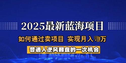 2025蓝海项目,普通人如何通过卖项目,实现月入过W,全过程【揭秘】-Z网创