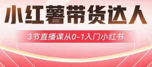 小红薯达人带货启航计划，3节直播课从0-1入门小红书-Z网创