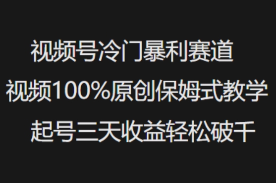 视频号冷门暴利赛道视频100%原创保姆式教学起号三天收益轻松破千-Z网创