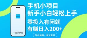 手机小项目新手小白轻松上手零投入有闲就有赚日入200+-Z网创