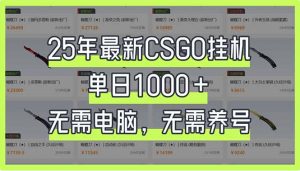 25年最新CSGO挂机系统，单日1000+，无需电脑，无需养号，0基础可上手-Z网创