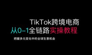 TikTok跨境电商从0-1全链路全方位实操教程,把握多元变化中的全球生意机会-Z网创