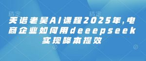 天诺老吴AI课程2025年,电商企业如何用deeepseek实现降本提效-Z网创