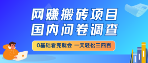 网赚搬砖项目，国内问卷调查，0基础看完就会 一天轻松三四百，靠谱副业...-Z网创