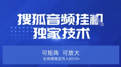 【搜狐音频挂G】独家技术,可矩阵可放大,红利期稳定月入8k【揭秘】-Z网创