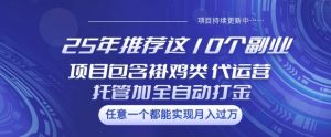 25年推荐这10个副业项目包含褂鸡类、代运营托管类、全自动打金类【揭秘】-Z网创