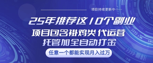 25年推荐这10个副业项目包含褂鸡类、代运营托管类、全自动打金类【揭秘】-Z网创