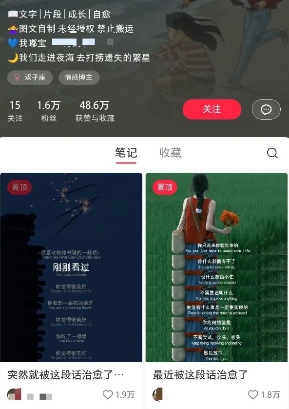 小红书治愈文案图文笔记,零门槛,一分钟制作轻松制作爆款作品月入万元-Z网创