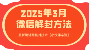 2025年3月微信解封方法 最新跳辅助核对技术【小伙伴亲测】-Z网创