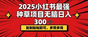 2025小红书最强种草项目，无脑日入300+，复制粘帖即可，多劳多得-Z网创