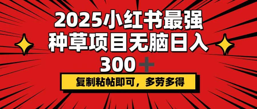 2025小红书最强种草项目，无脑日入300+，复制粘帖即可，多劳多得-Z网创
