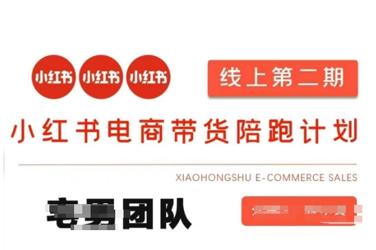 小红书电商带货课2期,月利润20个的小红书电商的有货源,无货源,虚拟产品,付费投流等整套玩法-Z网创