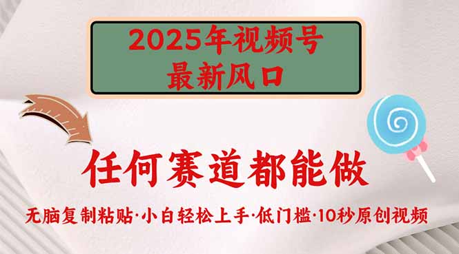 2025年视频号新风口，低门槛只需要无脑执行-Z网创