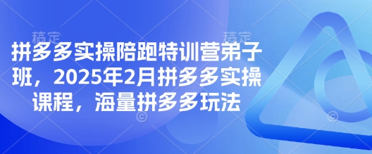 拼多多实操陪跑特训营弟子班,2025年2月拼多多实操课程,海量拼多多玩法-Z网创