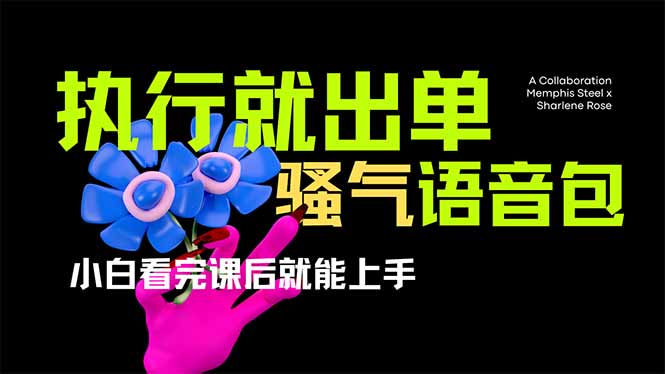 爆火全网的开车导航骚气语音包,只要执行就出单，小白看完课程就能实操…-Z网创