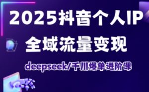 2025抖音个人IP全域流量变现进阶课，deepseek千川爆单进阶课-Z网创