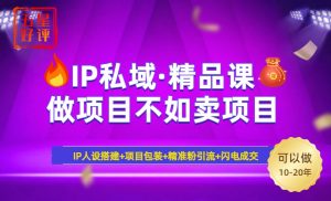 2025年“IP私域·密训精品课”，日赚3000+小白避坑年赚百万，暴力引流...-Z网创