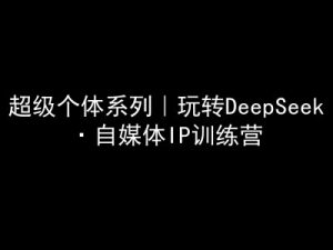 超级个体系列，玩转DeepSeek·自媒体IP训练营，deepseek教程-Z网创