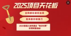 2025项目天花板普通人如何通过知识付费,实现财F自由【揭秘】-Z网创