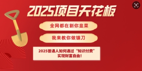 2025项目天花板普通人如何通过知识付费,实现财F自由【揭秘】-Z网创