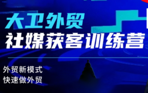 大卫老师·外贸社媒获客独家训练营(更新10月)-Z网创