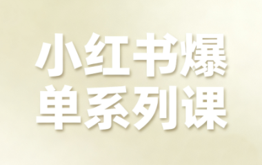 尼采老师·小红书爆单系列课-Z网创