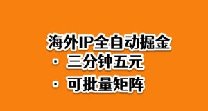 海外ip全自动掘金，2025必做蓝海项目，3分钟落地，矩阵直接开干【揭秘】-Z网创
