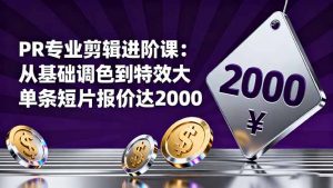 PR专业剪辑进阶课：从基础调色到特效大片的进阶技能，单条短片报价达2000-Z网创